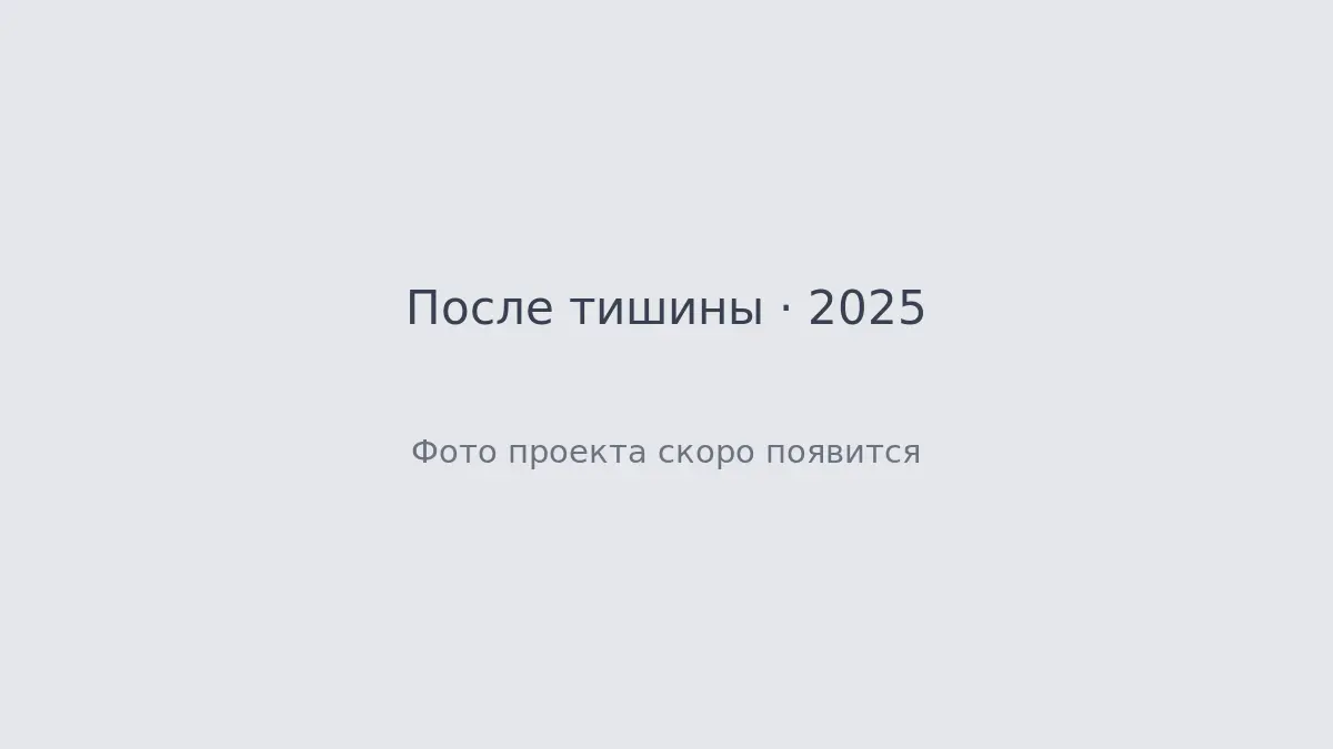 Обложка проекта После тишины